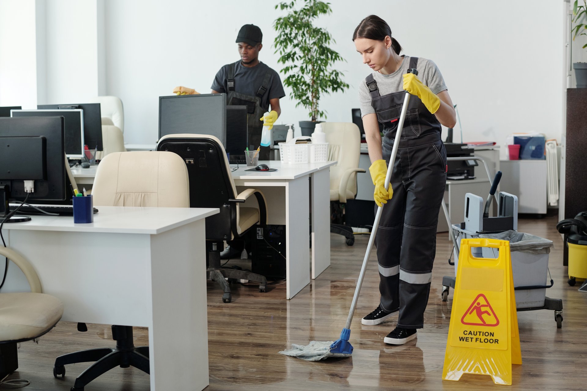 Professional cleaning in modern office space